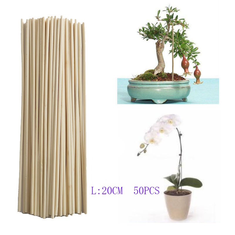 Art Craft Stick - 50PCS 20CM Bamboo Dowel Rods Natural