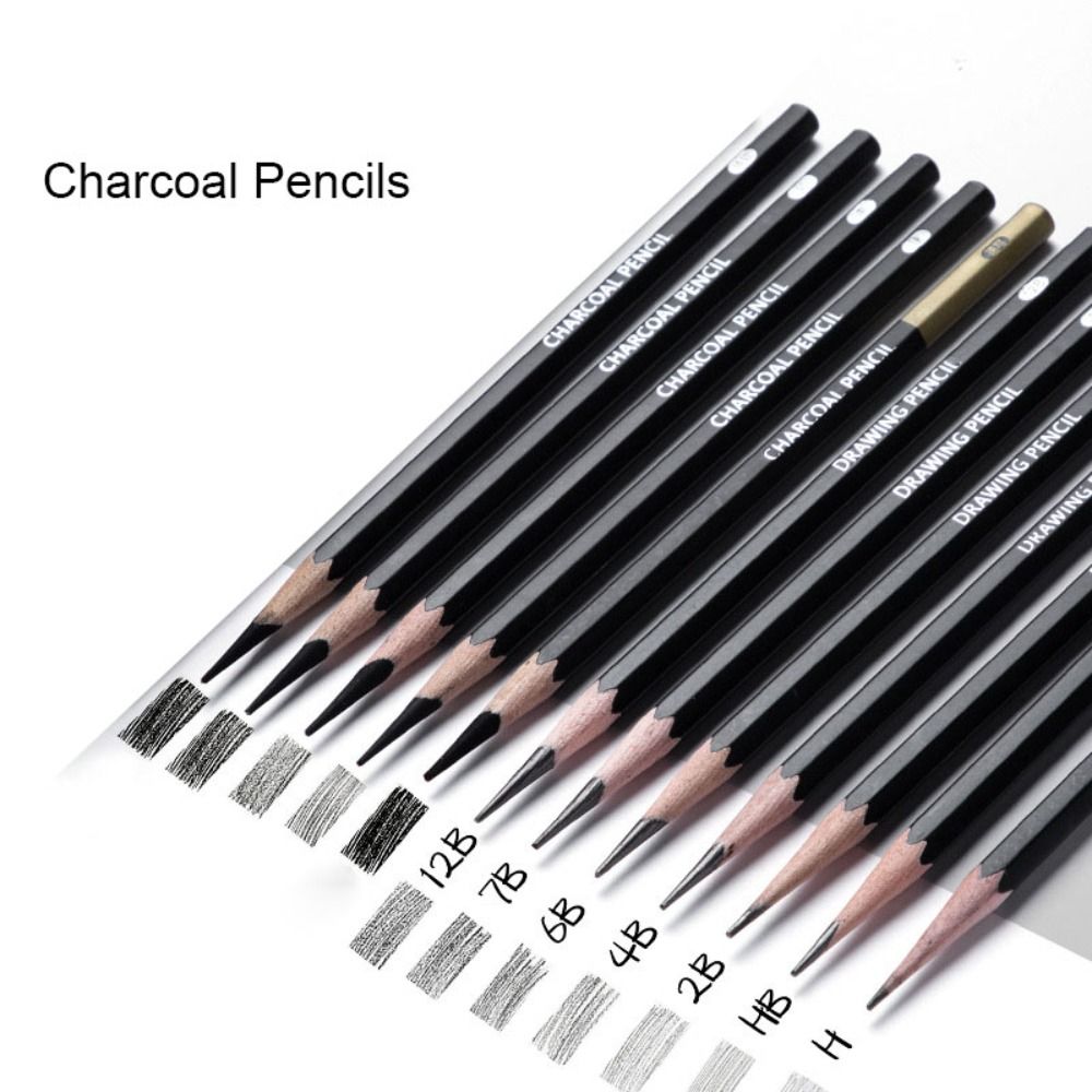 Professional Graphite Mixed Sk - огляд і ціна Sketching Charcoal Set