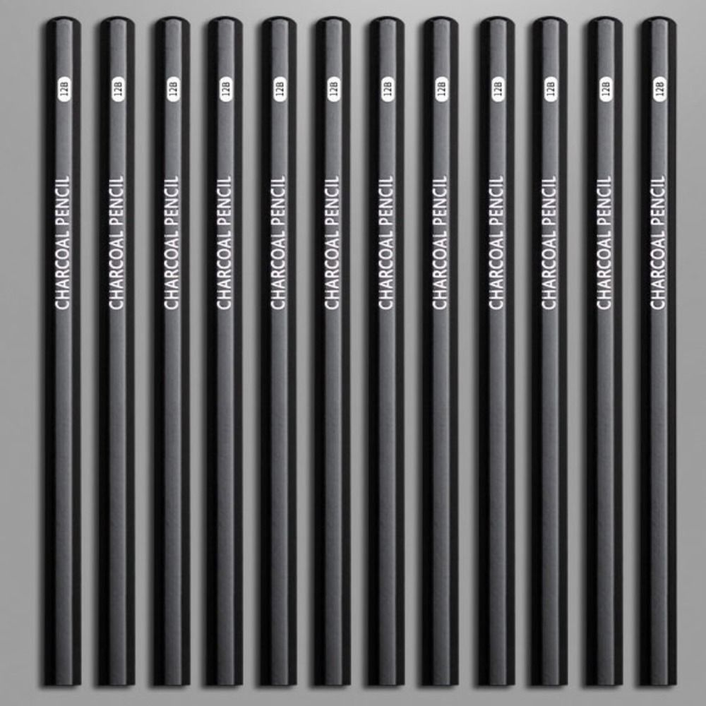 Professional Graphite Mixed Sk - огляд і ціна Sketching Charcoal Set