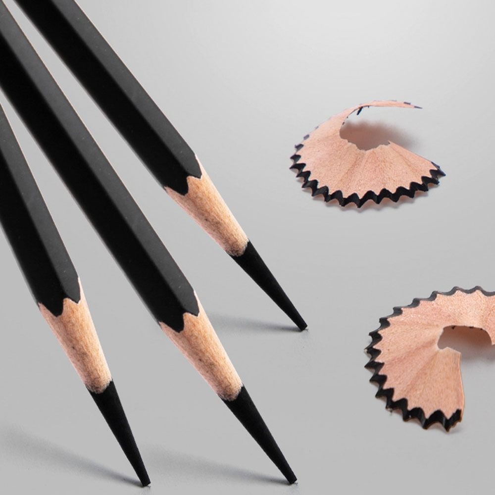 Professional Graphite Mixed Sk - огляд і ціна Sketching Charcoal Set