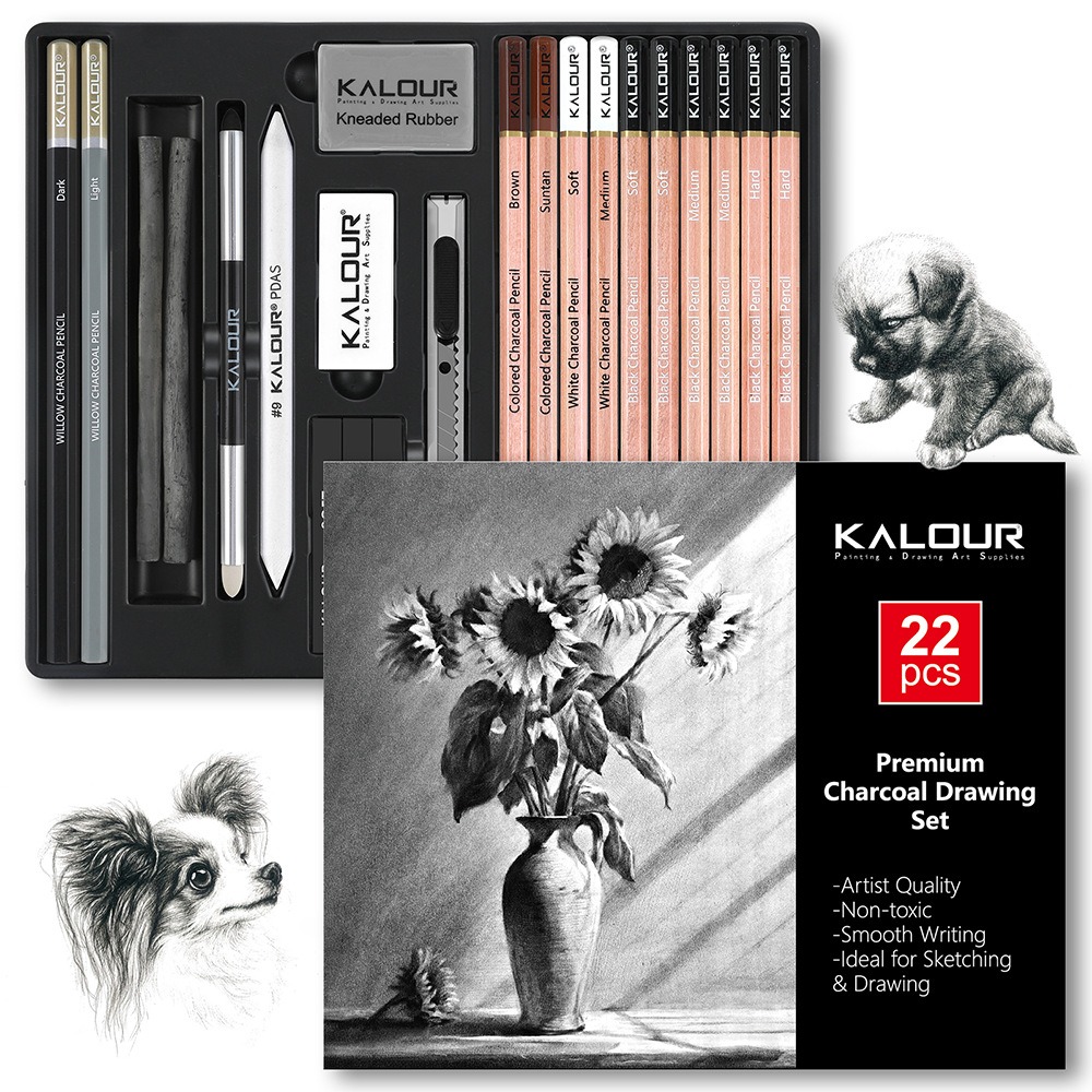 KALOUR 25/22pcs Sketching Penc - огляд і ціна Sketching Charcoal Set